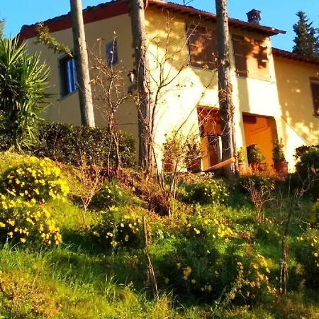 In Mit Garten *